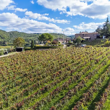 Lavanda By Interhome * Lucolena in Chianti